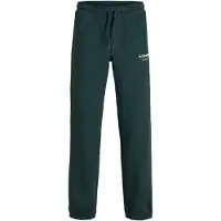 Jack & jones Junior Bukser 'JPSTKane' gran