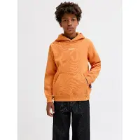 Jack & Jones Back Printet Hættetrøje Boys