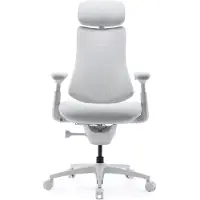 Libernovo Omni Pro Dynamic Ergonomic Chair - 48cm Gamer Stol - Hvid