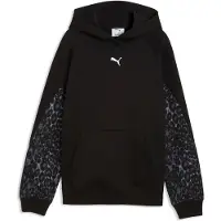 Puma Sweatshirt grå / mørkegrå / sort