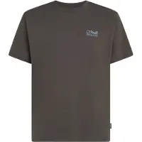 O'Neill Bluser & t-shirts blå / grå