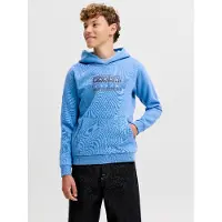 Jack & Jones Sweatshirt Boys