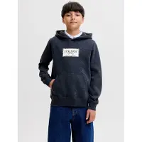 JACK&JONES JUNIOR Logo Hættetrøje Boys