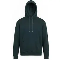 Volcom Sweatshirt 'SINGLE STONE' mørkegrøn