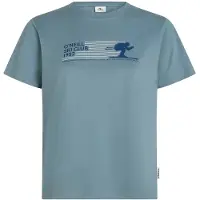 O'Neill Shirts blå / hvid
