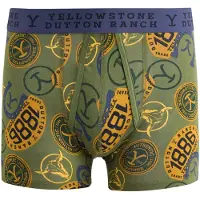 Next Boksershorts navy / gul / grøn
