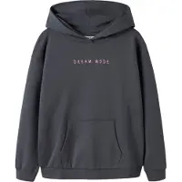 Name It Kids Sweatshirt 'NKFLILKEN' natblå / lyserød