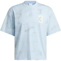 Adidas Originals Bluser & t-shirts 'Varsity' himmelblå / grå / hvid