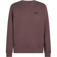 O'Neill Sweatshirt lysviolet