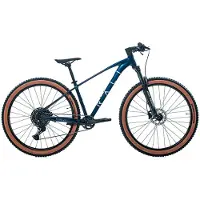 RALI R-pro 2.0 29´´ Cues Mtb Cykel