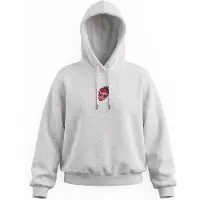 Volcom Sweatshirt 'EYESON PO' grå / rød