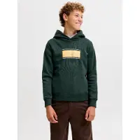 Jack & Jones Hættetrøje Boys