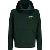 JACK&JONES JUNIOR Logo Hættetrøje Boys