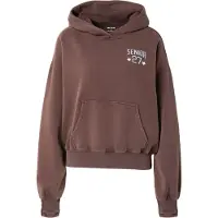 Hollister Sweatshirt dueblå / choko / gul