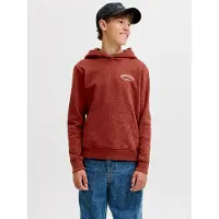JACK&JONES JUNIOR Logo Hættetrøje Boys