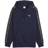Puma Essentials Elevated Tape Relaxed Hoodie, størrelse X-Small