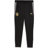 Puma Manchester City Træningsbukser - Sort, størrelse Large