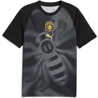 Puma Manchester City Warmup Jersey Men, Sport, Black/Archive Gold, 3XL