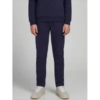 JJ REBEL Bukser 'JREBCREST' navy
