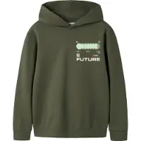 Name It Kids Sweatshirt 'NKMNIGO' mørkegrøn / pink / hvid