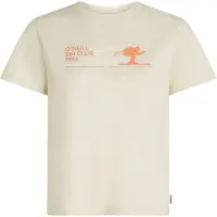 O'Neill Shirts orange / offwhite