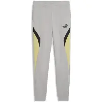 Puma Essentials Colourblocked Sweatpants Youth, Clothing, Gray Echo, 9-10Y