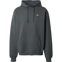 Iriedaily Sweatshirt 'Serial Chiller' gran