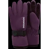 Didriksons Handsker m. Fleece - Biggles - Northen Purple - - 6-8 år (116-128) - Handsker