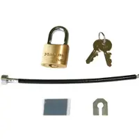 Chief PACLK1 - Tyverisikringslås - for FIT Series Low-Profile Hinge Mount RLF2, Low-Profile Hinge Mount RXF2