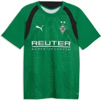 Puma Borussia Mönchengladbach Slim Training Jersey Men, Men, Archive Green/White, XL