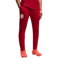 Puma Galatasaray S.K. Slim Training Pants Men, Clothing, Dark Cherry/Summer Sunset, S
