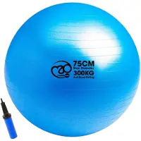 Fitness-Mad 300kg Anti-burst Swiss Fitball
