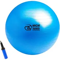 Fitness-Mad 300kg Anti-burst Swiss Fitball
