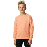 Devold Everyday Sweatshirt