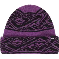 Quiksilver Performer Archi Beanie