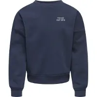 Only Kids Sweatshirt - Noos - KogSweat - Night Sky/Birch/Houston - - 13-14 år (158-164) - Sweatshirt