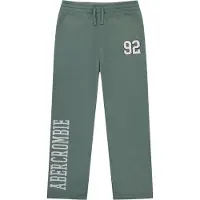 Abercrombie & Fitch Bukser lysegrå / grøn