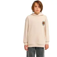 Element Timber Hermit Kids Hættetrøje brun