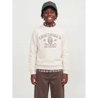 Jack & Jones Back Printet Sweatshirt Boys