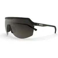 Spektrum Blank Solbriller