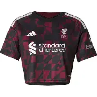 Adidas Funktionsbluse 'FC Liverpool 26/27' vinrød / sort / hvid
