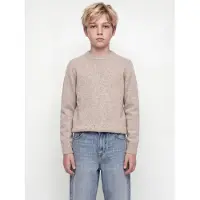 Jack & Jones Esoho Ollie Trøje