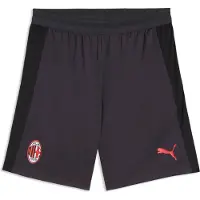 Puma AC Milan Slim Training Shorts Men, Sports, Flat Dark Gray, S