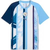 Puma Manchester City Warmup Jersey Men, Sport, White/Blazing Blue, L