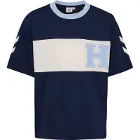 Hummel Shirts 'ROBIN' ensian / blandingsfarvet