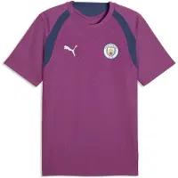 Puma Manchester City Slim Training Jersey Men, Sport, Plum Wine/Blue Jewel, XL