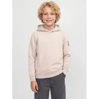 Jack & Jones Junior Sweatshirt 'JJCleveland' lysebeige