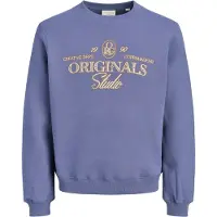 Jack & Jones Back Printet Sweatshirt Boys