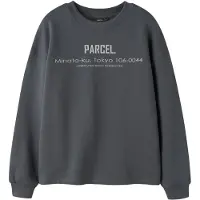 LMTD Sweatshirt grå / lysegrå