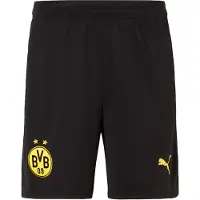 Puma Borussia Dortmund 26/27 Shorts Men, Clothing, Black, XL